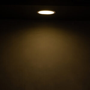 Down Light